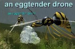 an eggtender Drone